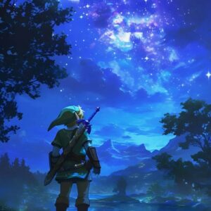 Tableau Zelda Nuit Bleu
